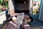 Mover image