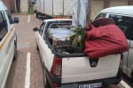 Mover image