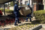 Mover image