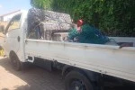 Mover image