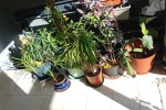 2 bedroom flat move