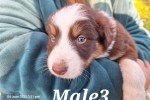 2 months