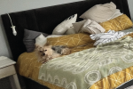 3 bedroom house move