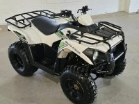 Quad Bike ATV