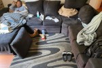 2 bedroom flat move