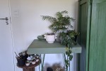 3 bedroom flat move