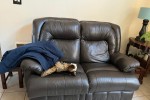 3 bedroom house move