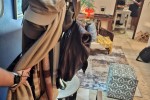 1 bedroom flat move