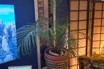 1 bedroom flat move