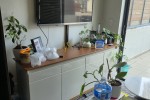 1 bedroom flat move