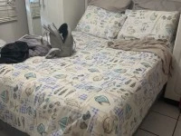 1 bedroom house move