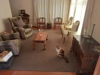 2 bedroom house move