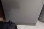 3 bedroom house move