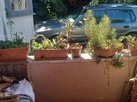 3 bedroom house move