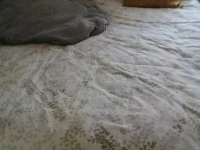 2 bedroom flat move