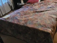 3 bedroom house move