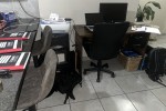 2 bedroom flat move