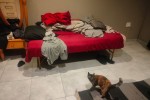 2 bedroom flat move