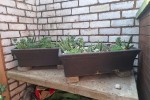 2 bedroom house move