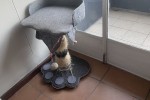 1 bedroom flat move