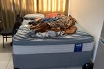 1 bedroom house move