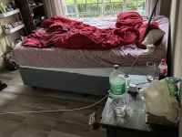 3 bedroom house move