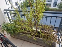 1 bedroom flat move