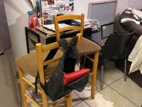 Queen bed, L-shaped couch, Bunk bed, Front loader washing machine, Tv ...