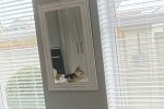 3 bedroom house move