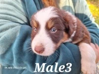 2 months