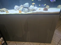 Fish Tank with Stand