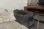 1 bedroom flat move