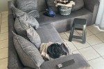 Queen bed, Single Door Fridge, L Shape Couch, L shape Desk, Microwave,...