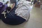 3 bedroom flat move