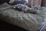 Couch, Queen Bed, Double Bed, Freezer, Fridge, Dishwasher, Cupboard, D...