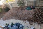 Wood-chips / Mulch