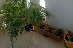 2 bedroom flat move