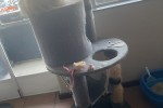1 bedroom flat move