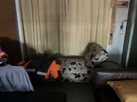 2 bedroom flat move