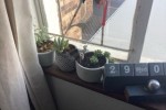 1 bedroom flat move
