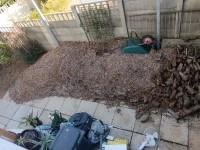 Wood-chips / Mulch