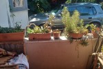 3 bedroom house move