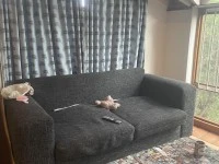 Quees size bed, 1 large sofa, fridge, washing machine, Large mirror, m...