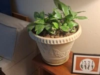 1 bedroom flat move