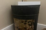 Home rental, Boxes x30, Pot plants x 40