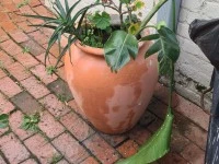 1 bedroom flat move