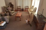 2 bedroom house move