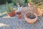 12 Large Pots, Small bench, broom cupboard, folding ladder, Weber