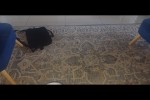 2 bedroom flat move