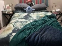 Double bed, Fridge, Washing Machine, Couch, Desk, Large Dresser, Desk,...